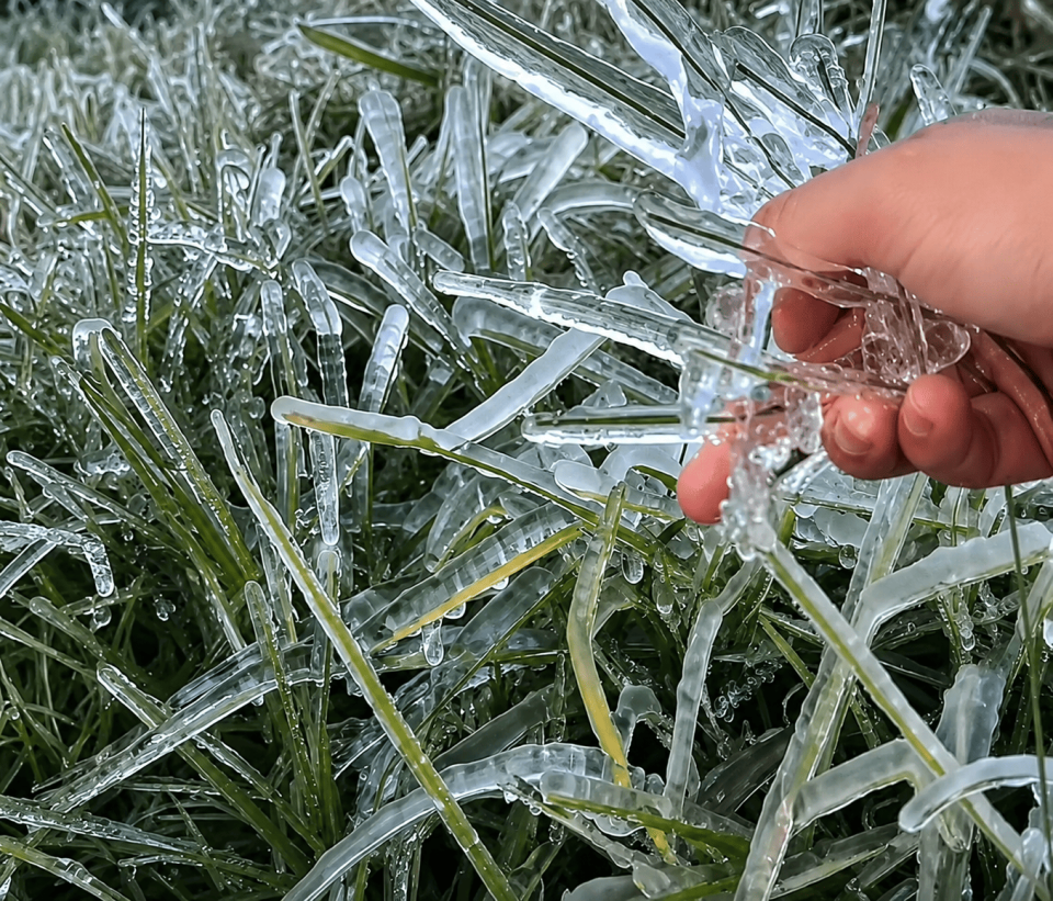 Suhu Minus 6 Derajat Celsius, Dieng Kembali Membeku